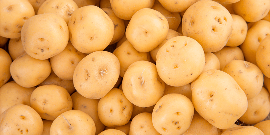 PotatoPro